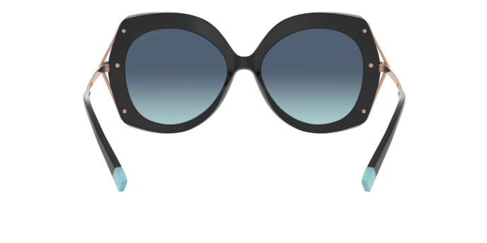 Tiffany Sunglasses TF4169 80019S