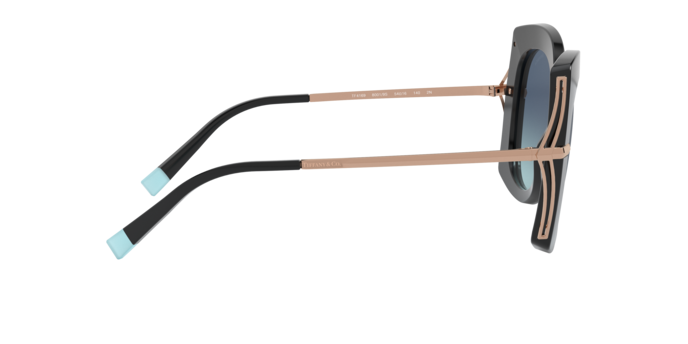 Tiffany Sunglasses TF4169 80019S