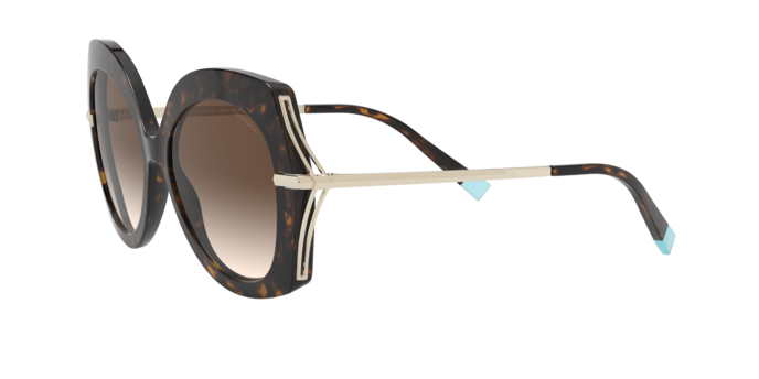 Tiffany Sunglasses TF4169 80153B