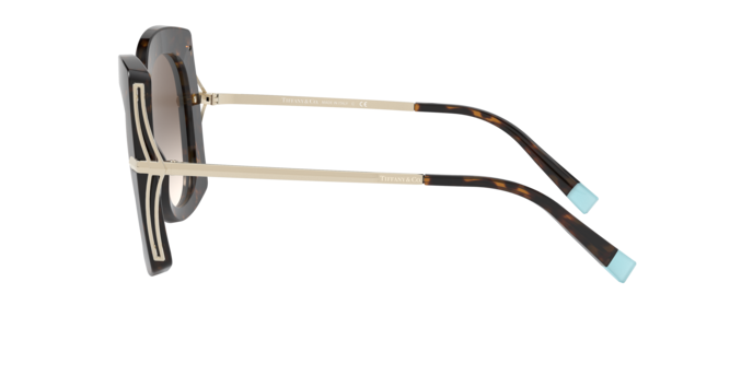 Tiffany Sunglasses TF4169 80153B