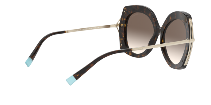 Tiffany Sunglasses TF4169 80153B