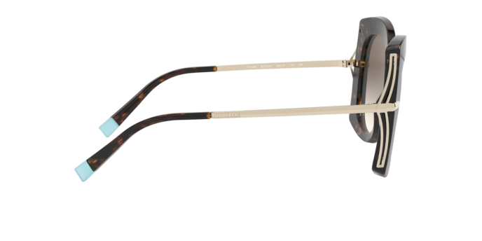 Tiffany Sunglasses TF4169 80153B