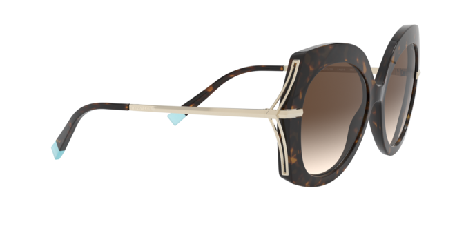 Tiffany Sunglasses TF4169 80153B