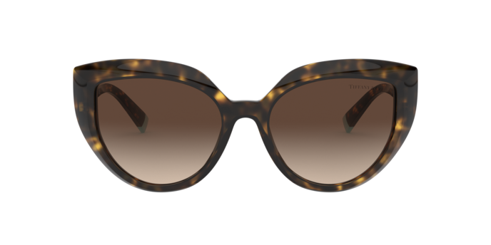 Tiffany Sunglasses TF4170 80153B