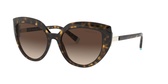 Tiffany Sunglasses TF4170 80153B