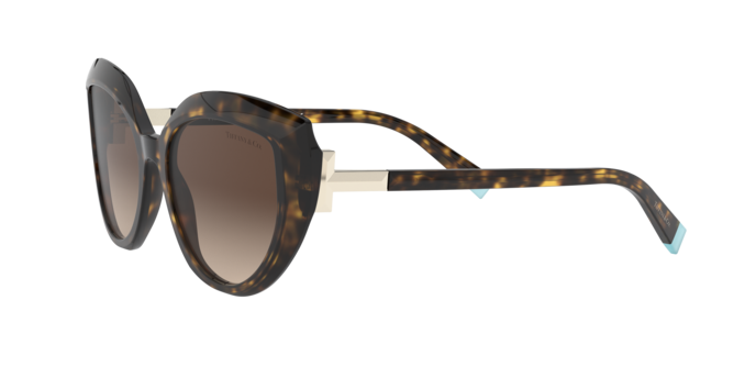 Tiffany Sunglasses TF4170 80153B