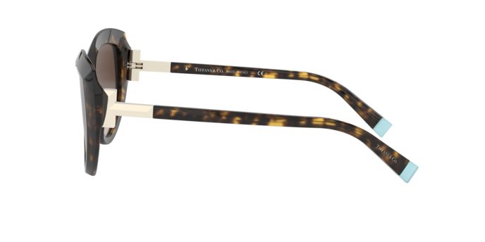 Tiffany Sunglasses TF4170 80153B