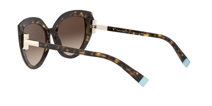 Tiffany Sunglasses TF4170 80153B