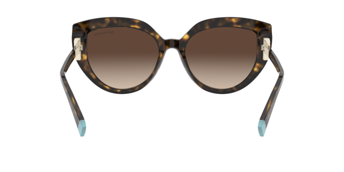 Tiffany Sunglasses TF4170 80153B