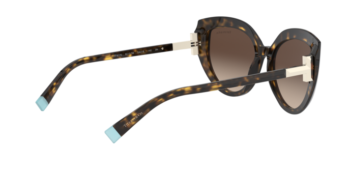 Tiffany Sunglasses TF4170 80153B