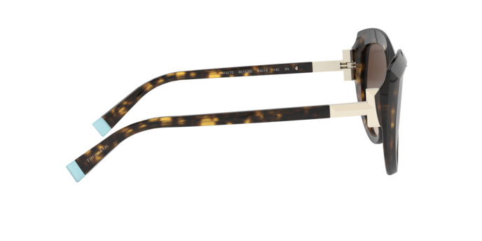 Tiffany Sunglasses TF4170 80153B