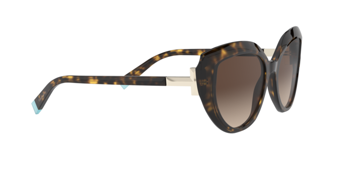 Tiffany Sunglasses TF4170 80153B