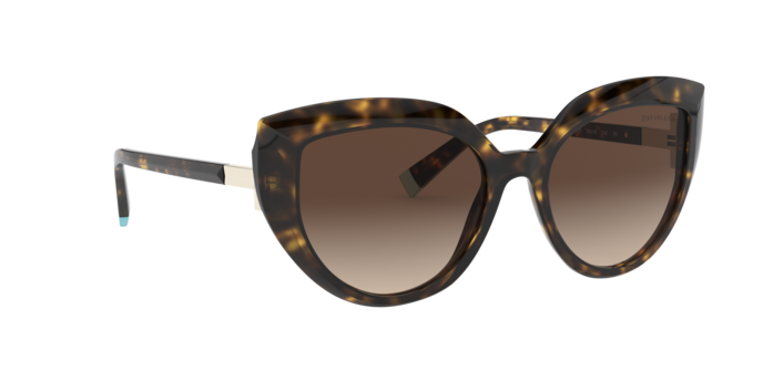 Tiffany Sunglasses TF4170 80153B