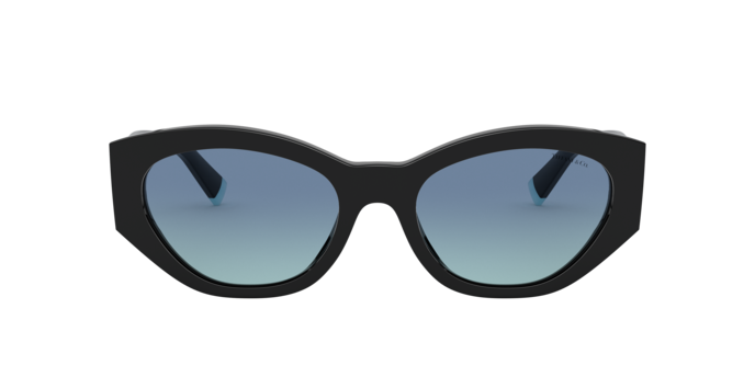 Tiffany Sunglasses TF4172 80019S