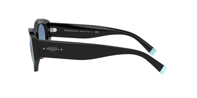 Tiffany Sunglasses TF4172 80019S