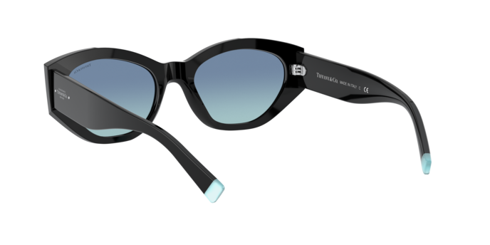 Tiffany Sunglasses TF4172 80019S