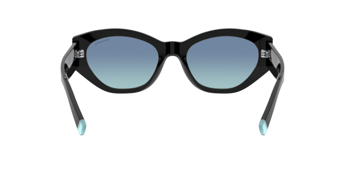 Tiffany Sunglasses TF4172 80019S