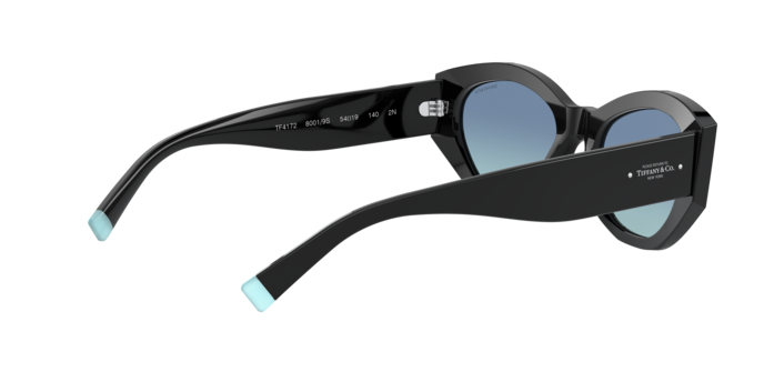 Tiffany Sunglasses TF4172 80019S