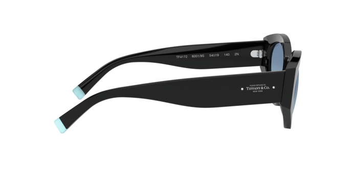 Tiffany Sunglasses TF4172 80019S