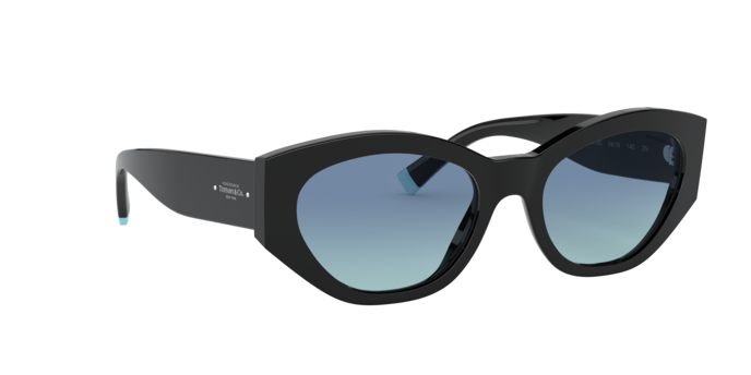 Tiffany Sunglasses TF4172 80019S