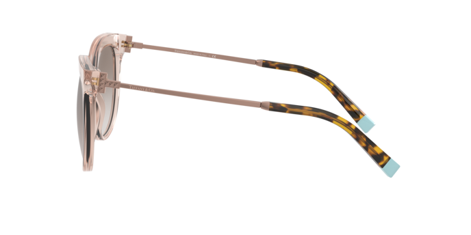 Tiffany Sunglasses TF4176 83378Z