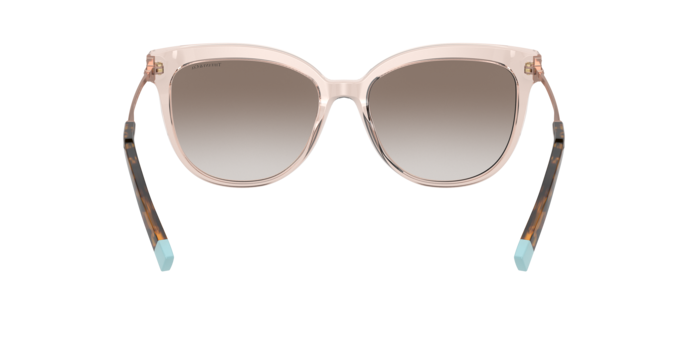 Tiffany Sunglasses TF4176 83378Z