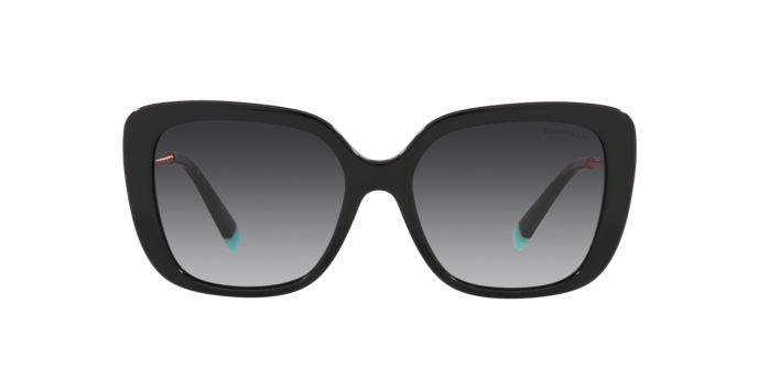 Tiffany Sunglasses TF4177 80013C