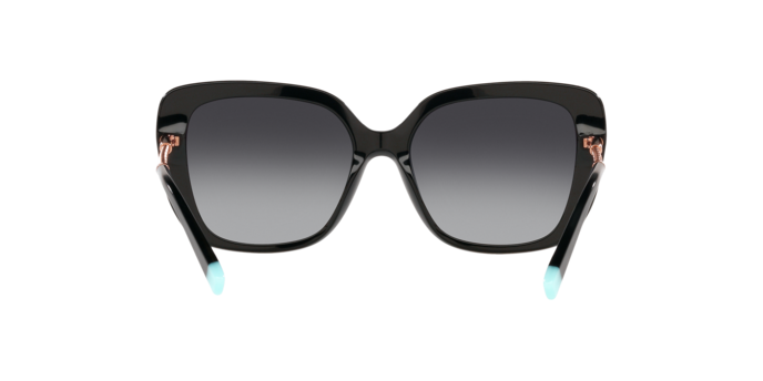 Tiffany Sunglasses TF4177 80013C