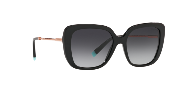 Tiffany Sunglasses TF4177 80013C
