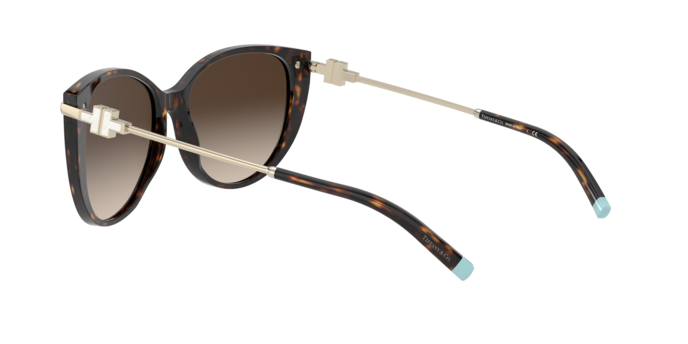 Tiffany Sunglasses TF4178 80153B