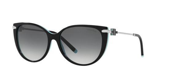 Tiffany Sunglasses TF4178 8055T3