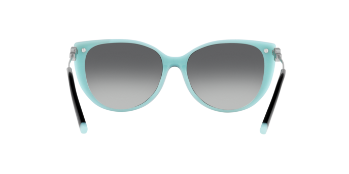 Tiffany Sunglasses TF4178 8055T3