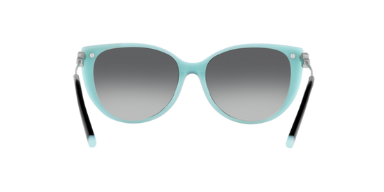 Tiffany Sunglasses TF4178 8055T3