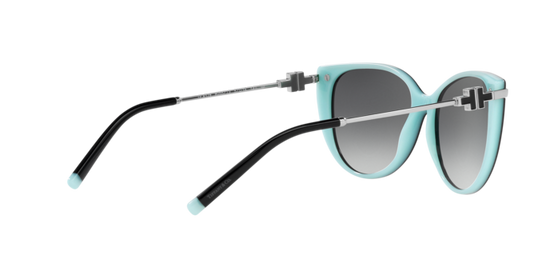 Tiffany Sunglasses TF4178 8055T3