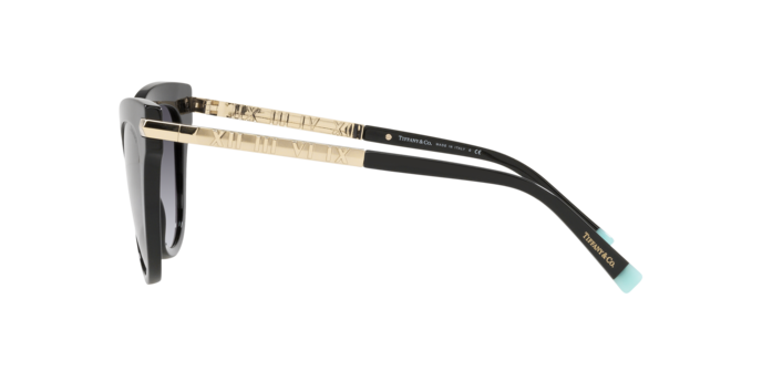 Tiffany Sunglasses TF4182 80013C