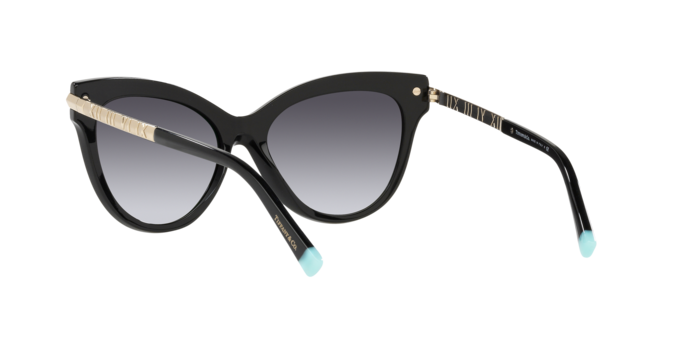 Tiffany Sunglasses TF4182 80013C