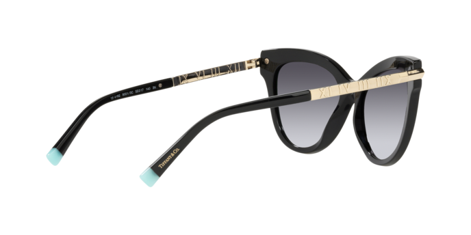 Tiffany Sunglasses TF4182 80013C