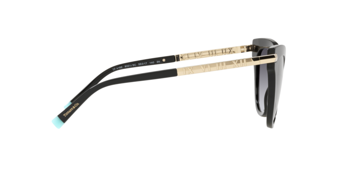 Tiffany Sunglasses TF4182 80013C