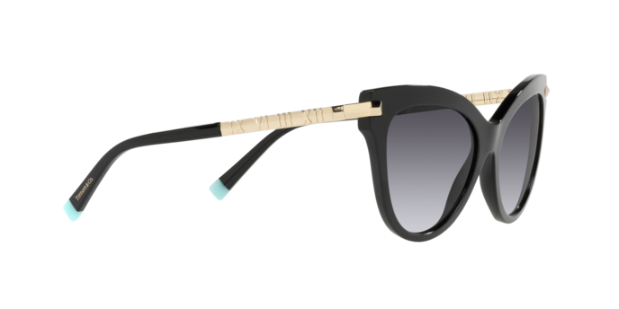 Tiffany Sunglasses TF4182 80013C