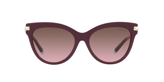 Tiffany Sunglasses TF4182 83519T