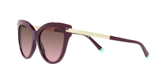 Tiffany Sunglasses TF4182 83519T