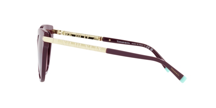 Tiffany Sunglasses TF4182 83519T