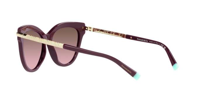 Tiffany Sunglasses TF4182 83519T
