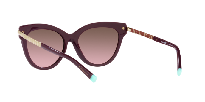 Tiffany Sunglasses TF4182 83519T
