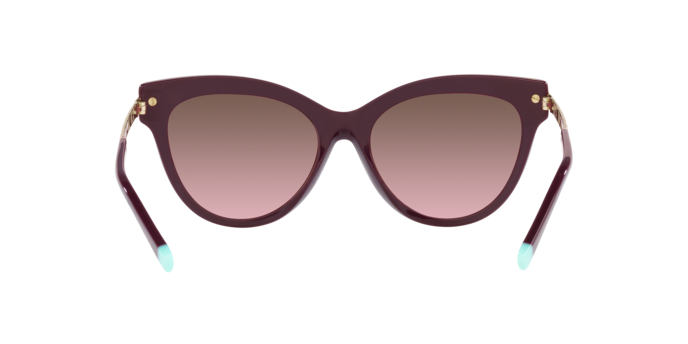 Tiffany Sunglasses TF4182 83519T