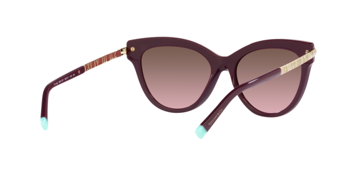 Tiffany Sunglasses TF4182 83519T