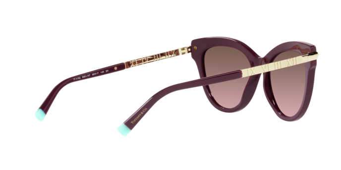Tiffany Sunglasses TF4182 83519T