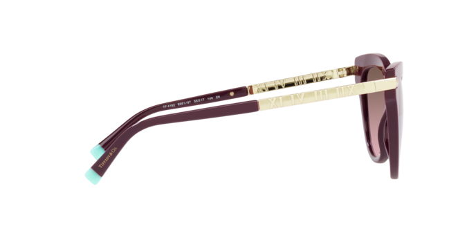 Tiffany Sunglasses TF4182 83519T