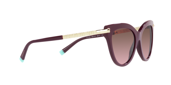 Tiffany Sunglasses TF4182 83519T