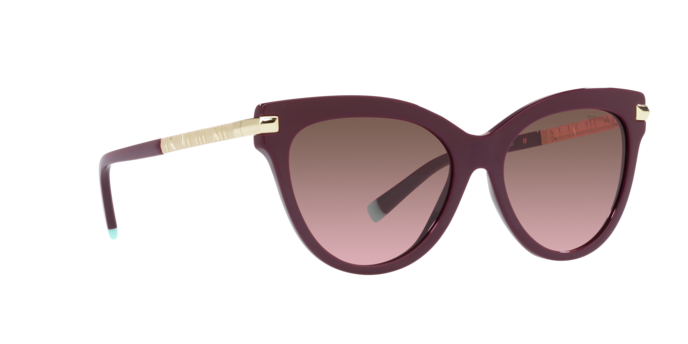 Tiffany Sunglasses TF4182 83519T
